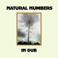 Natural Numbers