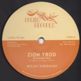 Micah Shemaiah